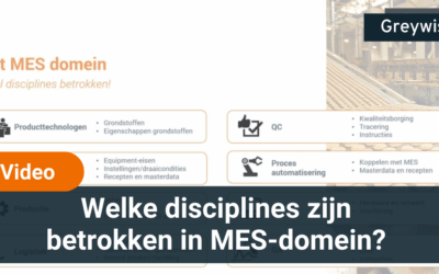Bekijk video: Welke disciplines zijn betrokken in MES-domein?