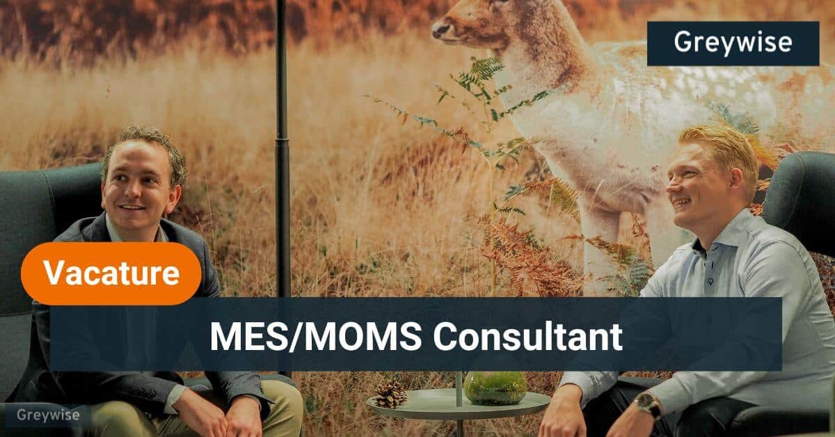 MES/MOMS consultant MES/MOMS consultant