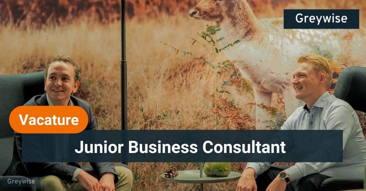 Junior business consultant Junior business consultant