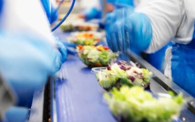 Wat is een Elektronisch Batch Record?