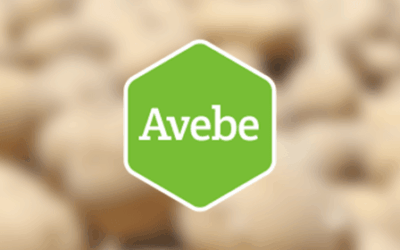 MES voor de nieuwe fabriek