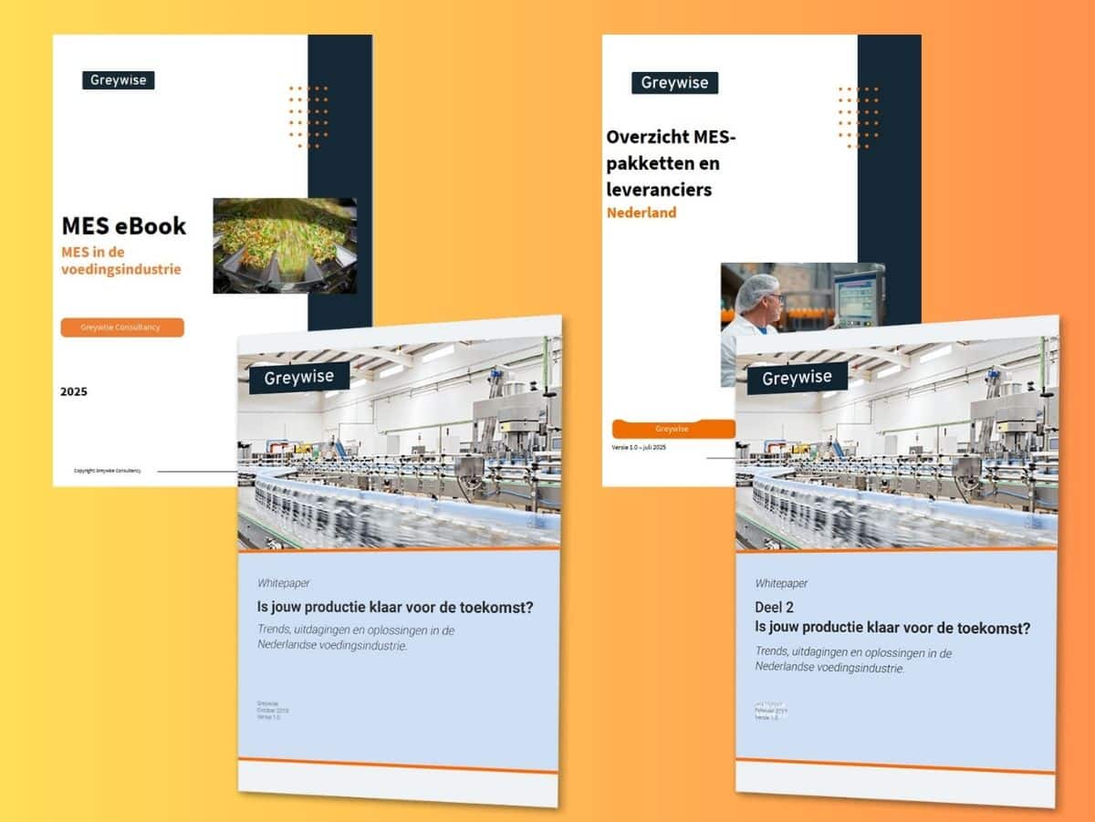 Oostdam Seminar & Webinars Productie digitalisatiestandaard afbeelding (16) Whitepaper Greywise